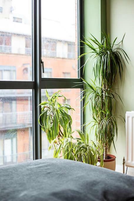 Spacious Centre Duplex Appartement *